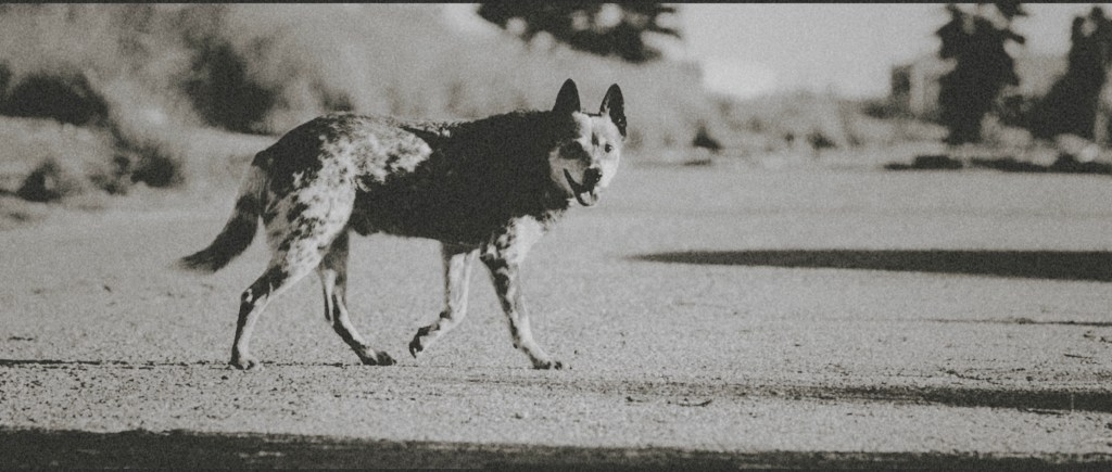 ¿Quién le teme a Erin&nbsp;Bell?