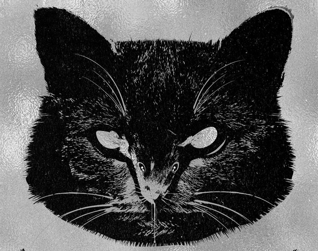 Para Lectores Constantes