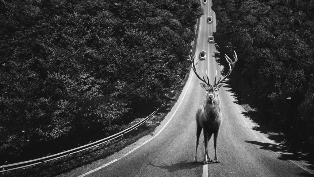 Una serie de desafortunados&nbsp;eventos