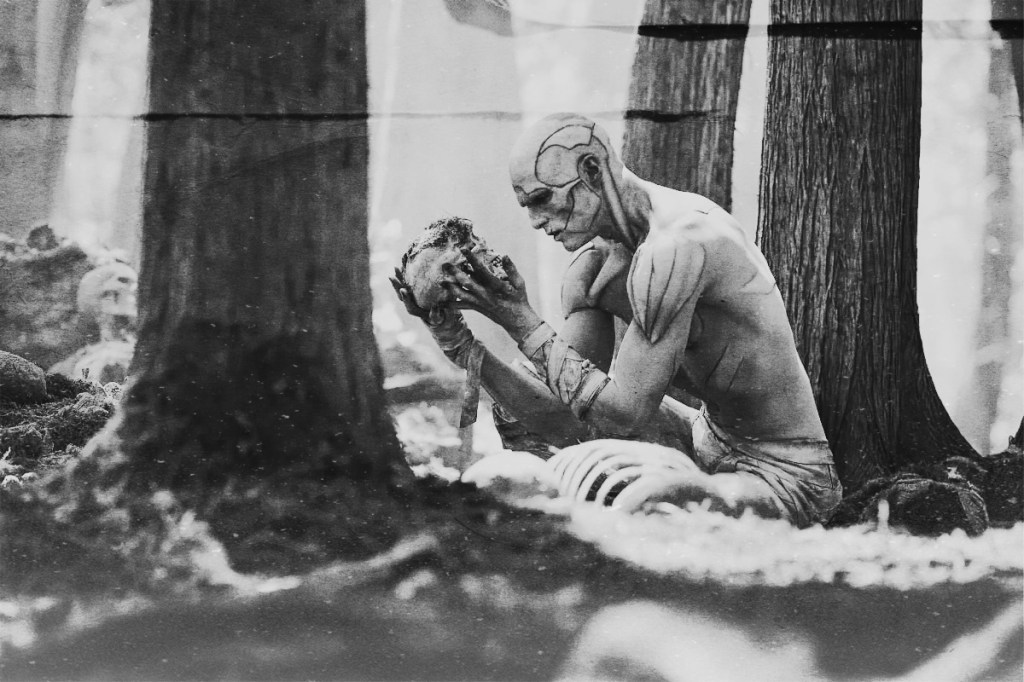 En busca de la criatura&nbsp;perdida